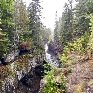 Meet your Posher, Lucy